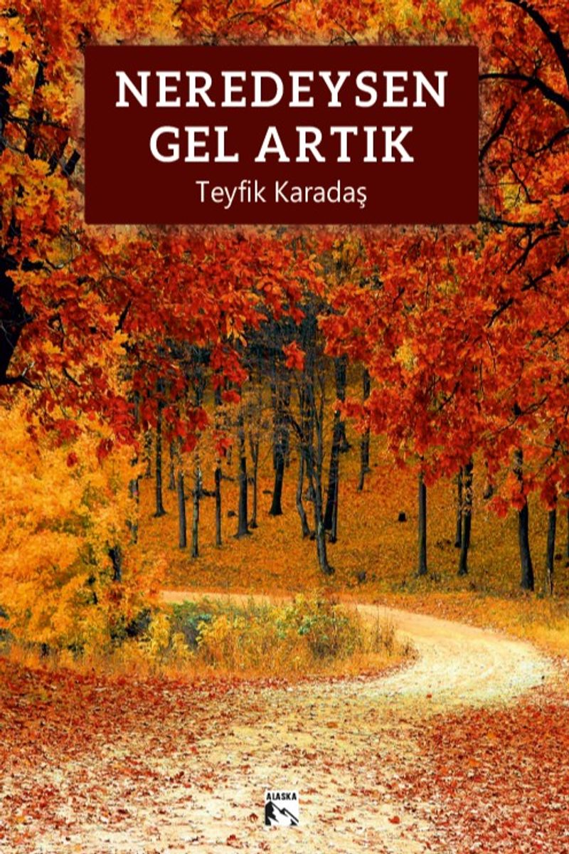 Neredeysen Gel Artık kitap kapağı