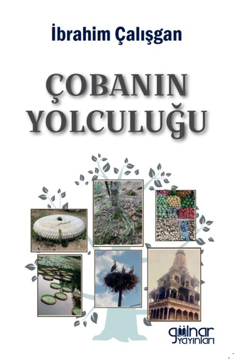 Çobanın Yolculuğu kitap kapağı