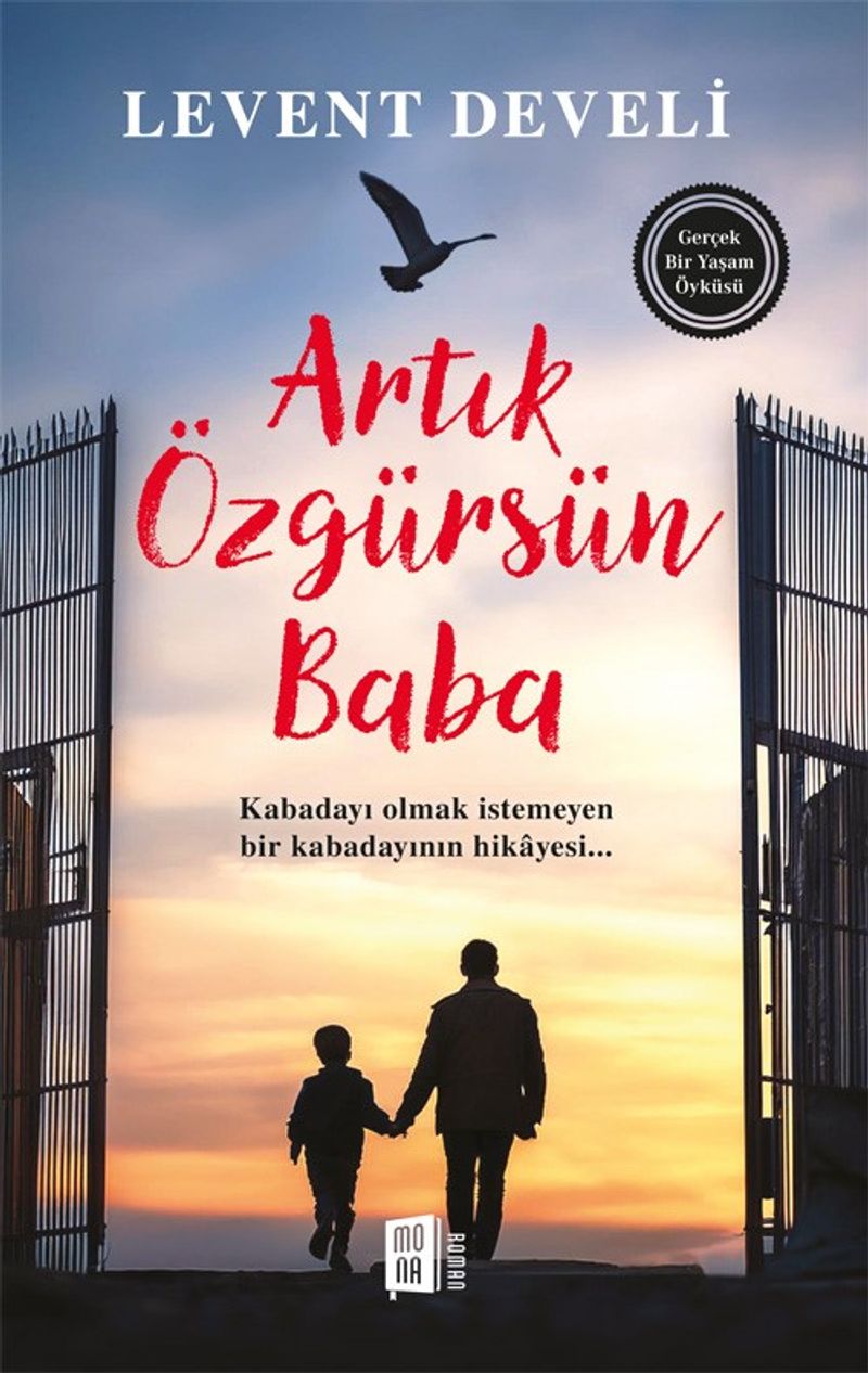 Artık Özgürsün Baba kitap kapağı
