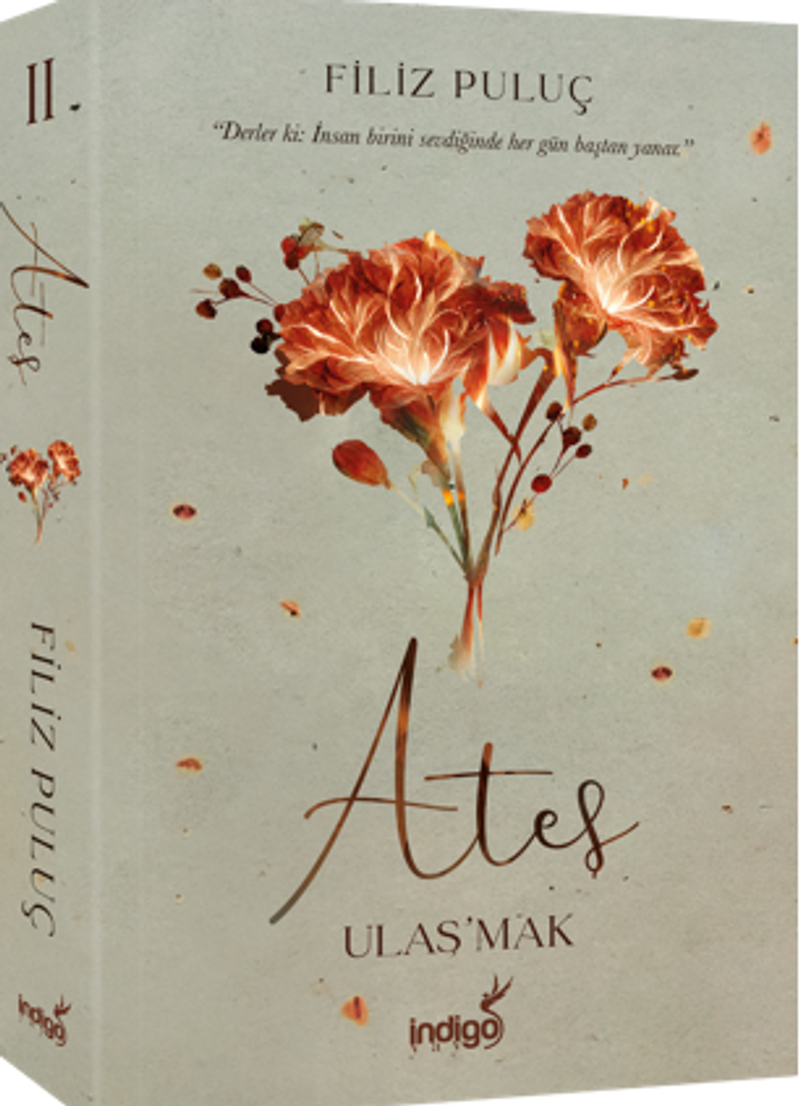 Ateş - Ulaş'mak kitap kapağı