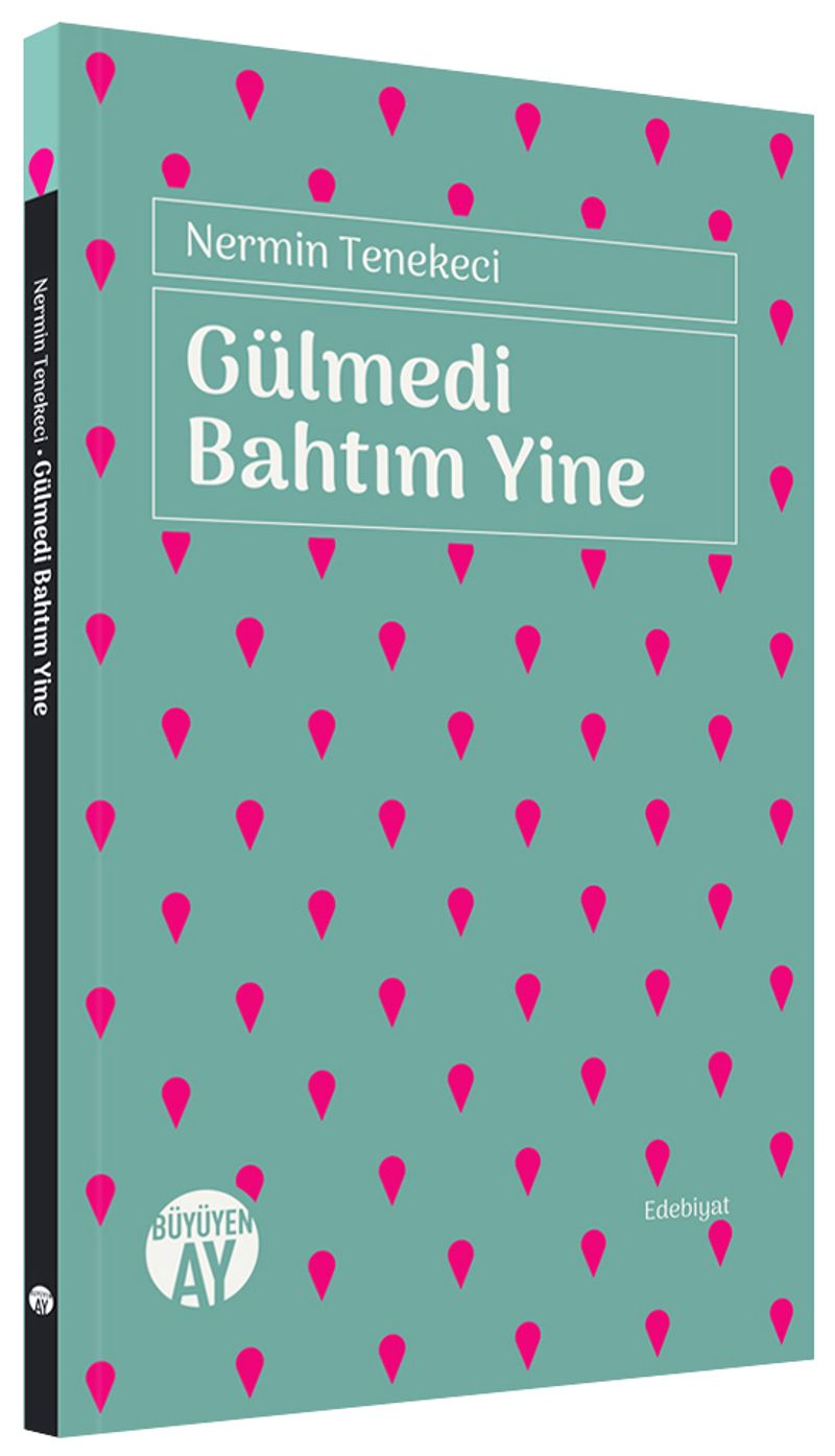 Gülmedi Bahtım Yine kitap kapağı