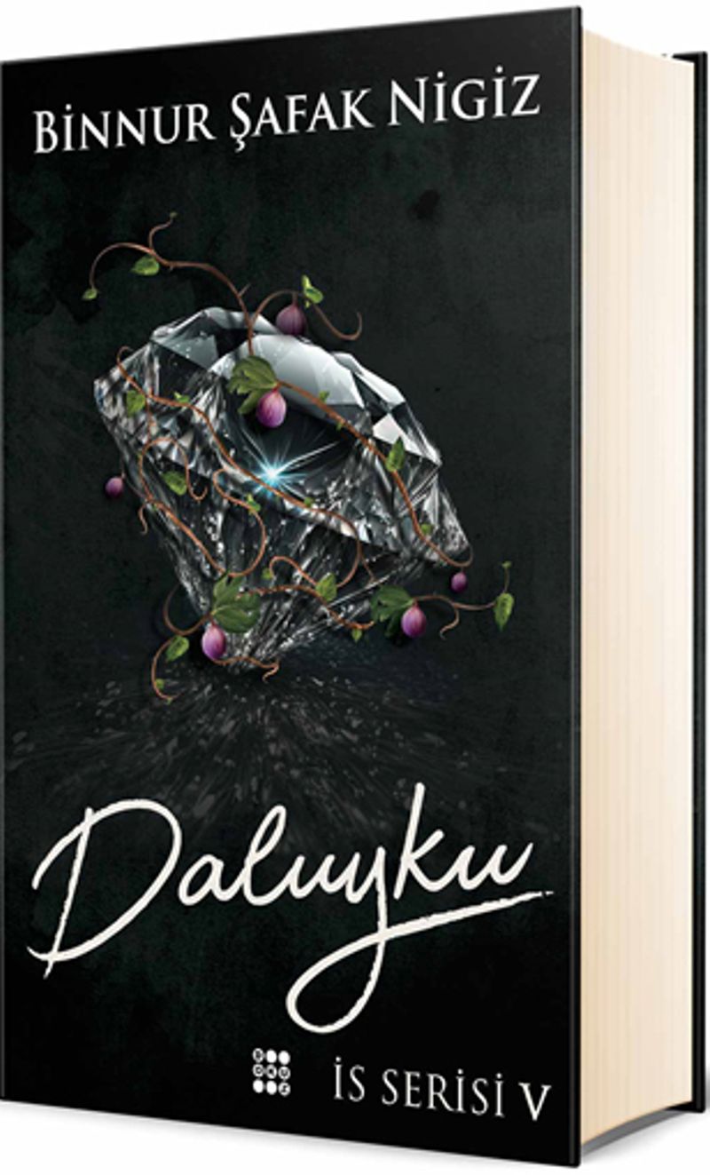 Daluyku / İs Serisi 5 (Ciltli) kitap kapağı