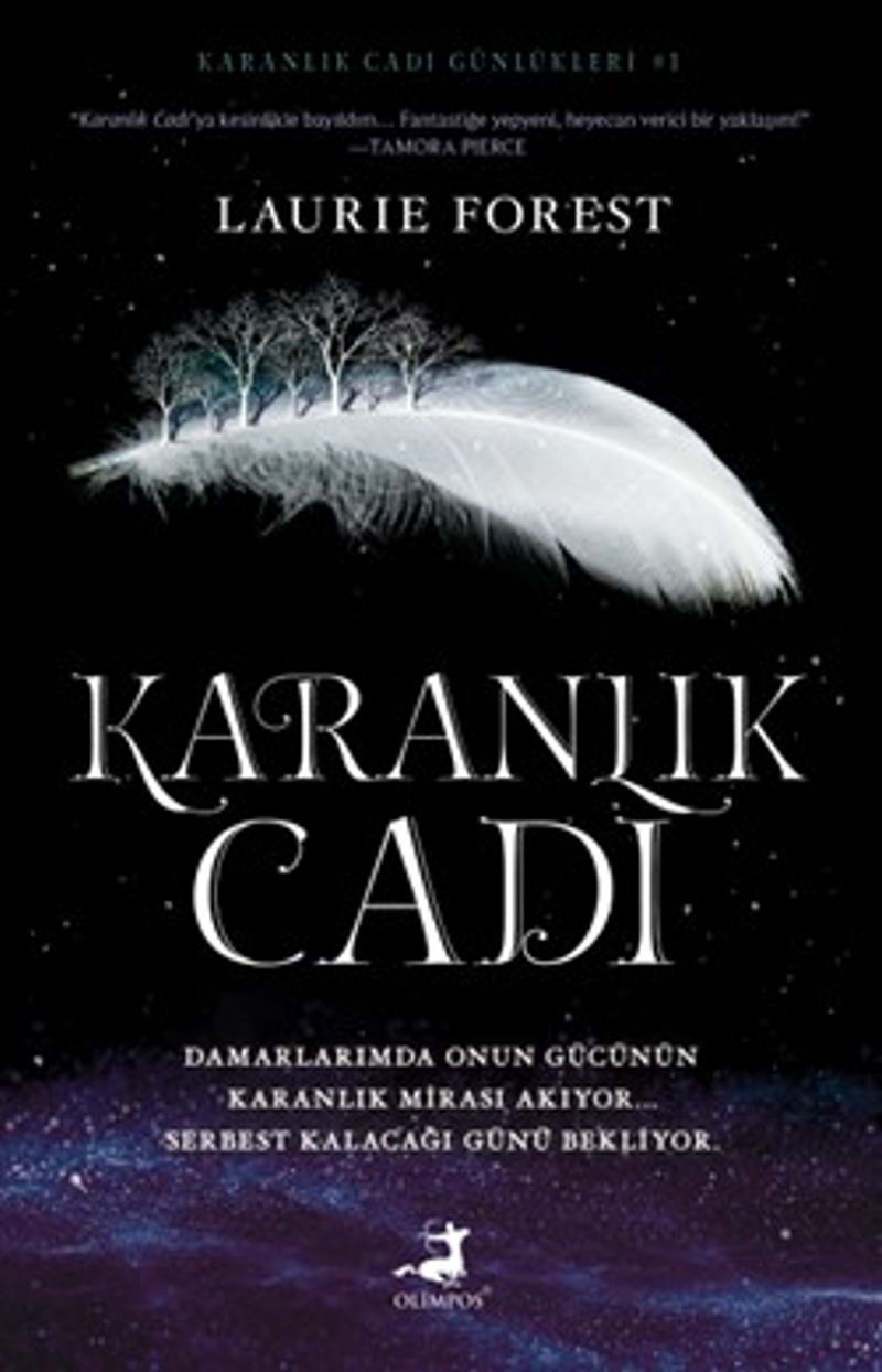 Karanlık Cadı (Karton Kapak) kitap kapağı