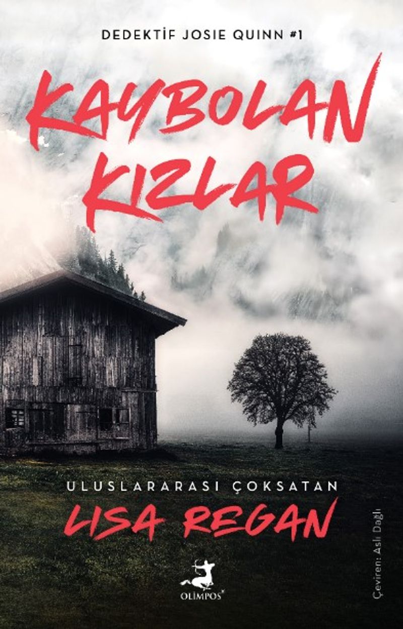 Kaybolan Kızlar / Dedektif Josie Quinn 1 kitap kapağı