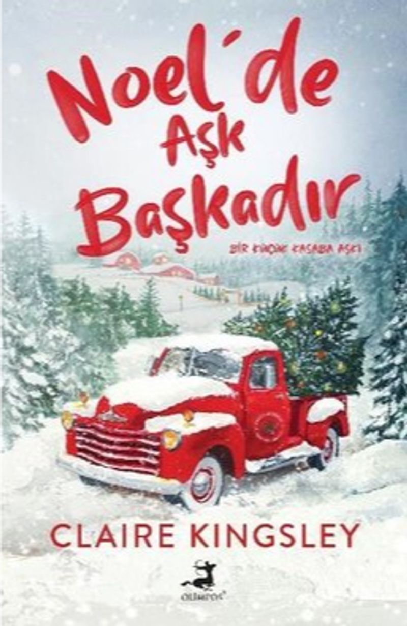 Noel'de Aşk Başkadır kitap kapağı
