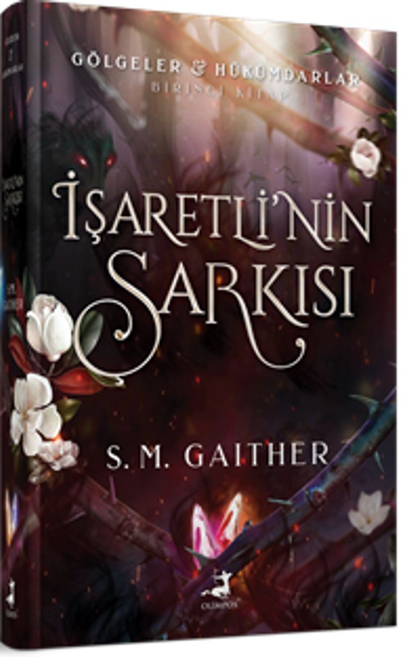 İşaretli'nin Şarkisi (Ciltli) kitap kapağı