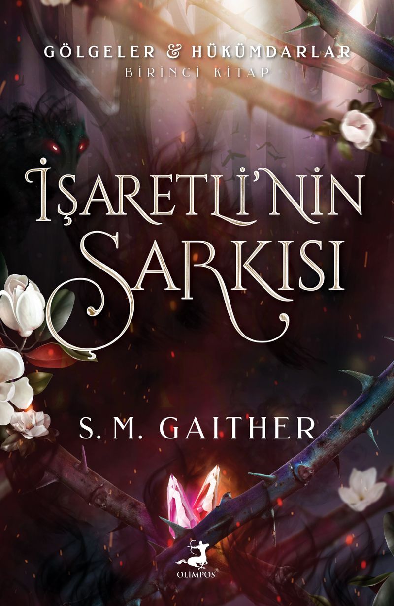 İşaretli'nin Şarkısı (Karton Kapak) kitap kapağı