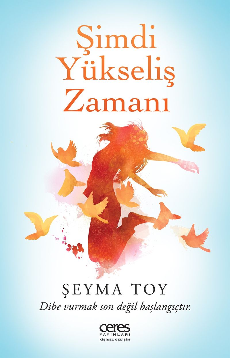 Şimdi Yükseliş Zamanı Dibe vurmak son değil başlangıçtır kitap kapağı
