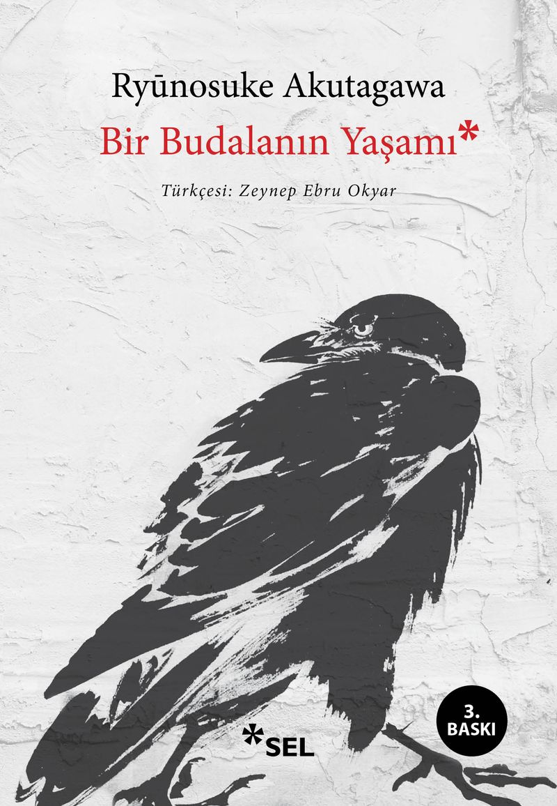 Bir Budalanın Yaşamı kitap kapağı
