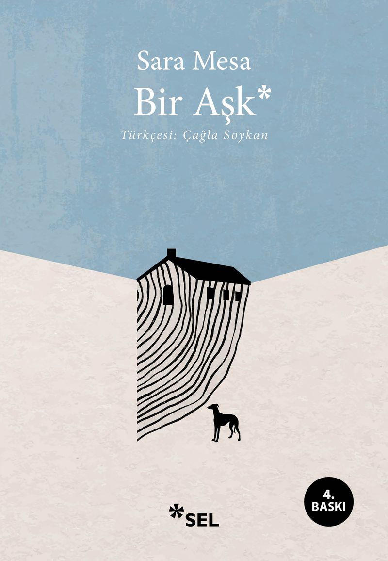 Bir Aşk kitap kapağı