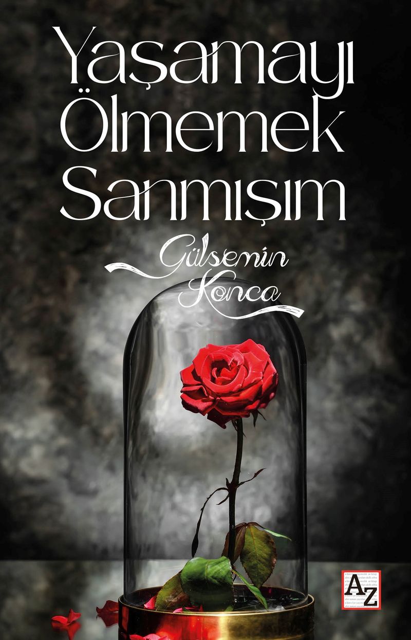 Yaşamayı Ölmemek Sanmışım kitap kapağı