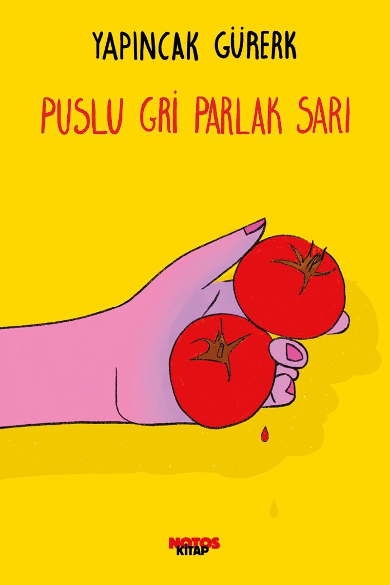 Puslu Gri Parlak Sarı kitap kapağı