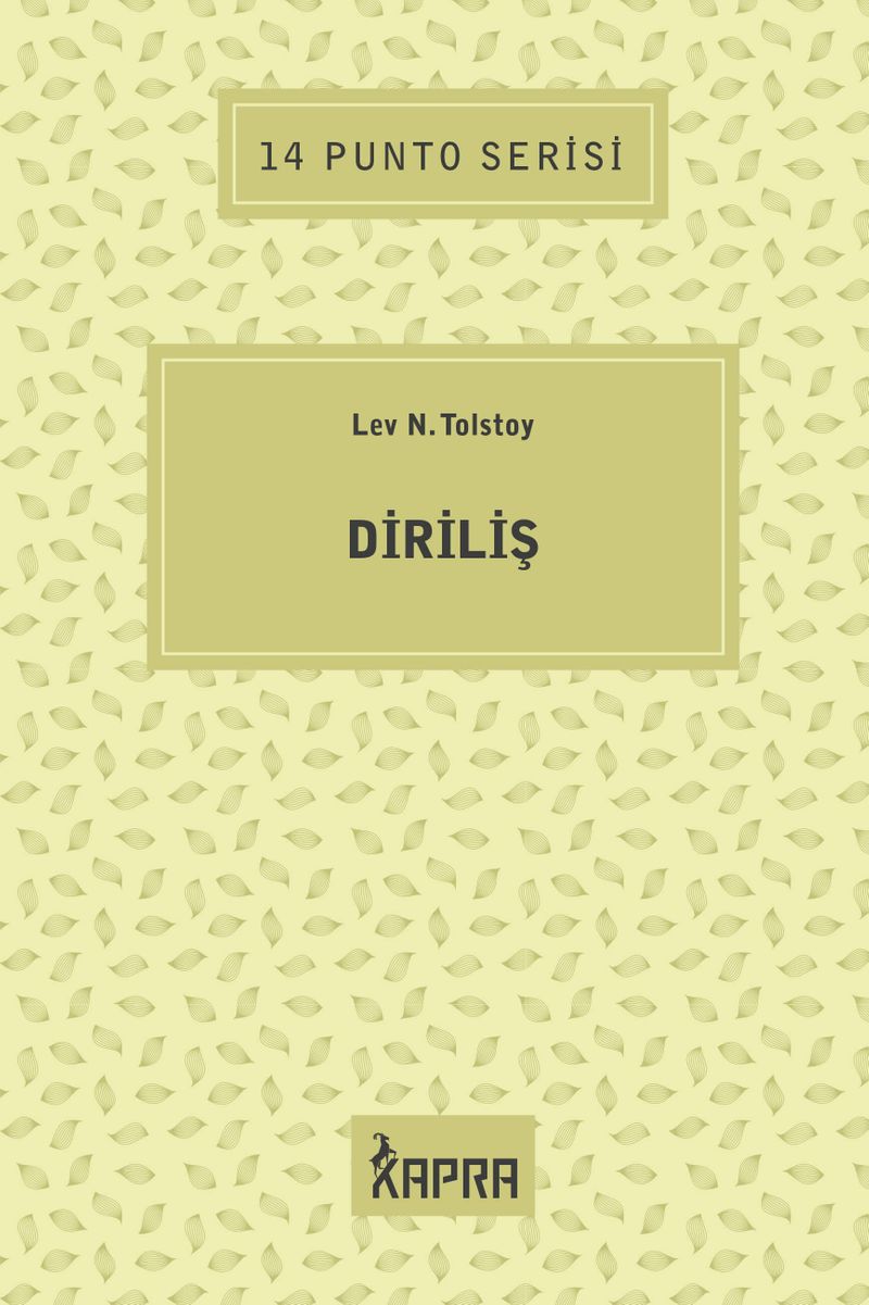 Diriliş / 14 Punto Serisi kitap kapağı