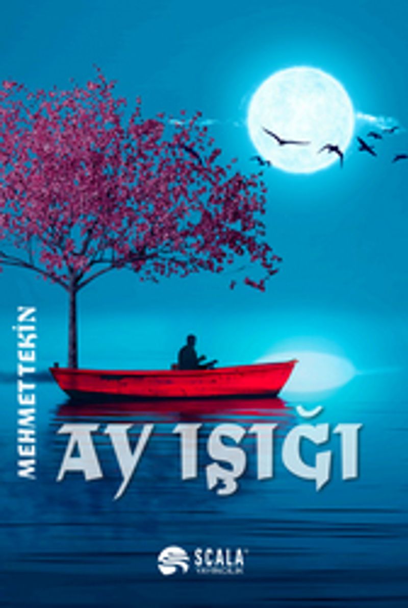 Ay Işığı kitap kapağı
