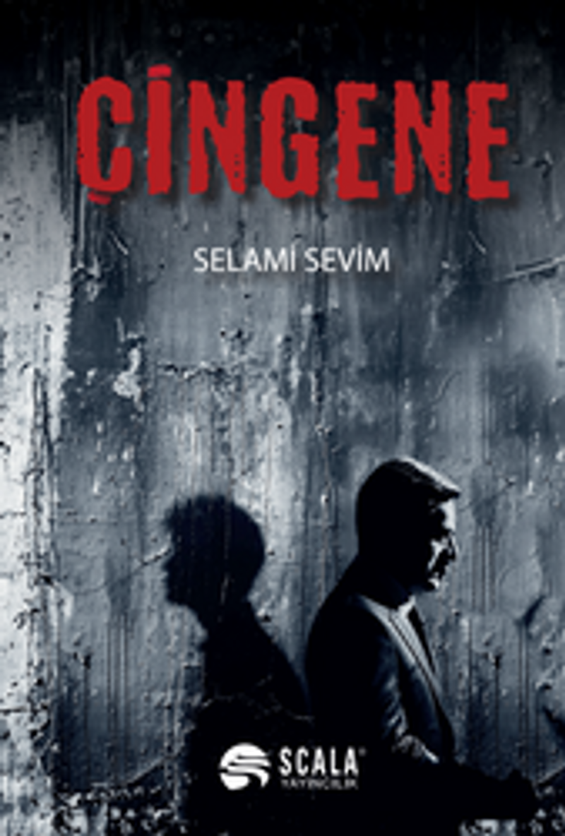 Çingene kitap kapağı