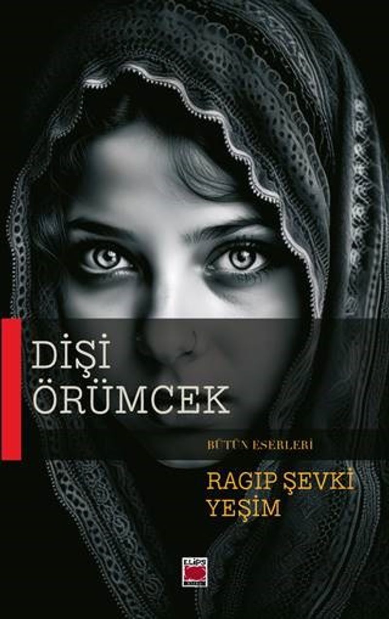 Dişi Örümcek kitap kapağı