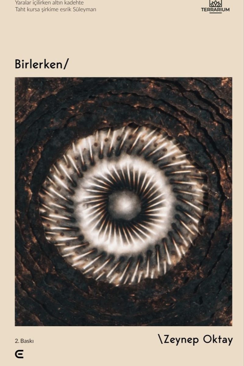 Birlerken kitap kapağı