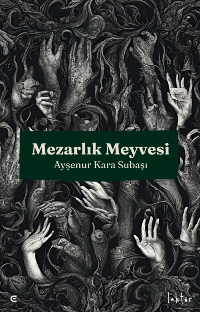 Mezarlık Meyvesi kitap kapağı