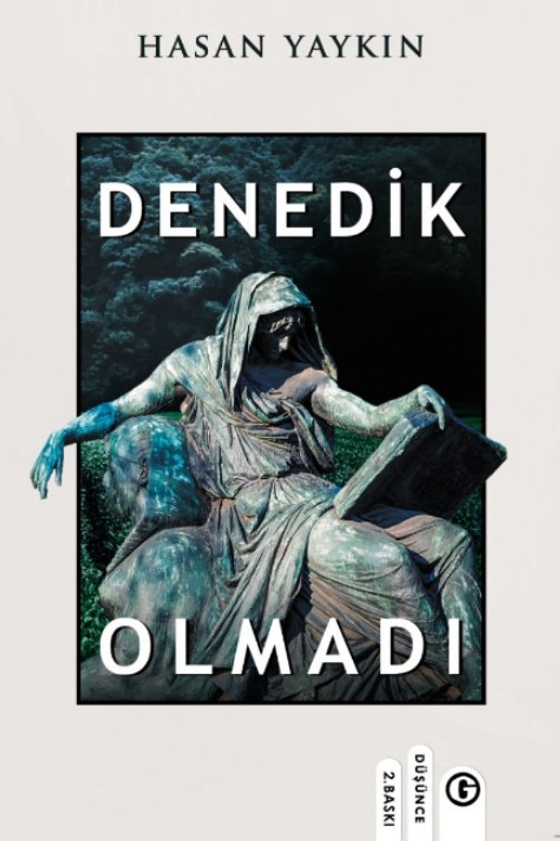 Denedik Olmadı kitap kapağı