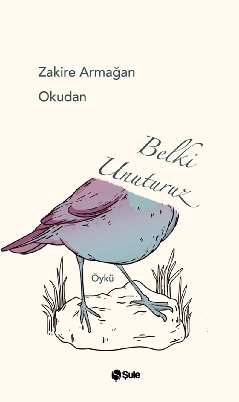 Belki Unuturuz kitap kapağı