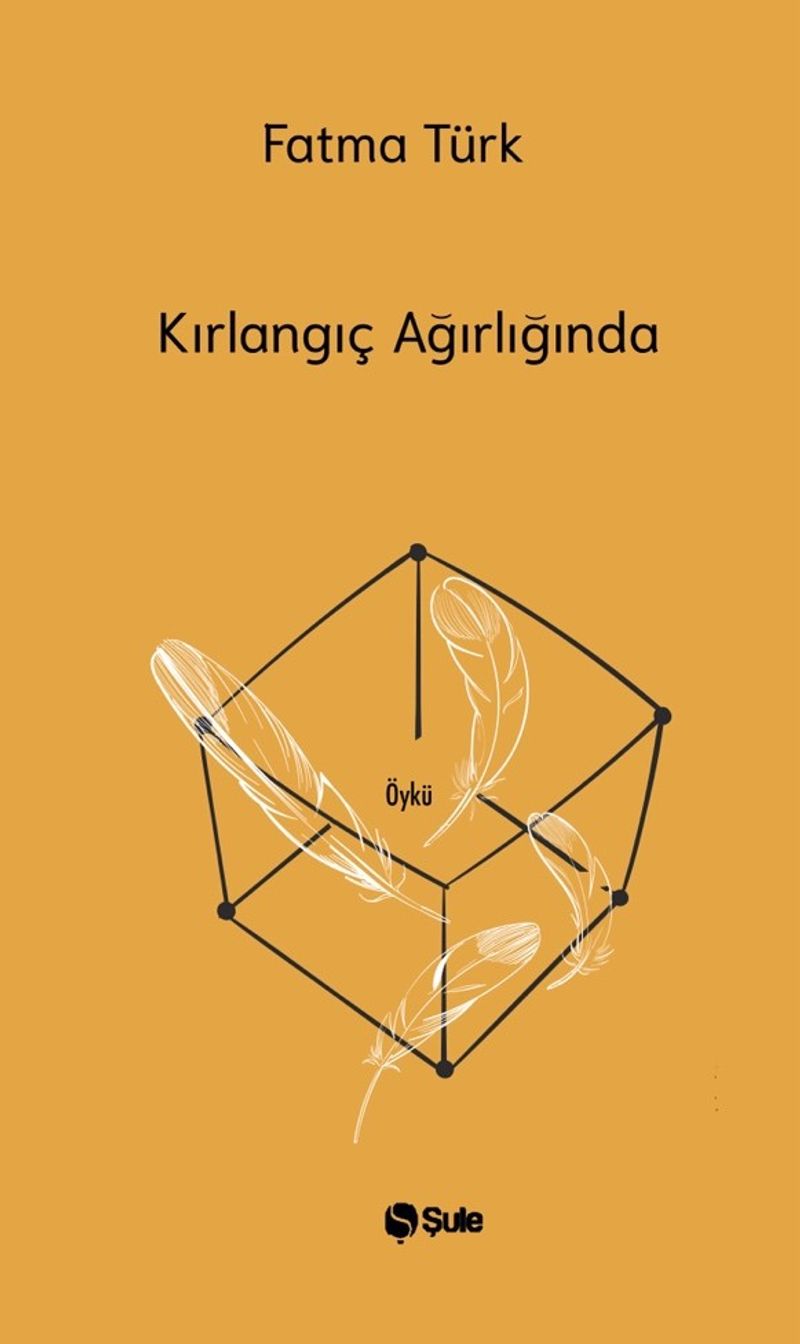 Kırlangıç Ağırlığında kitap kapağı