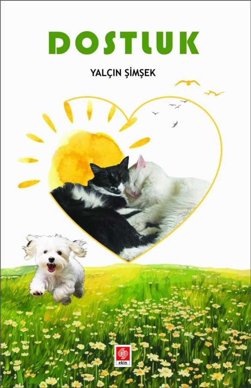 Dostluk kitap kapağı