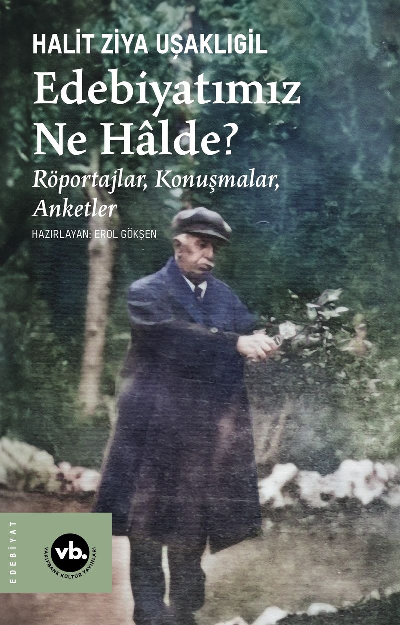 Edebiyatımız Ne Halde? Röportajlar, Konuşmalar, Anketler kitap kapağı
