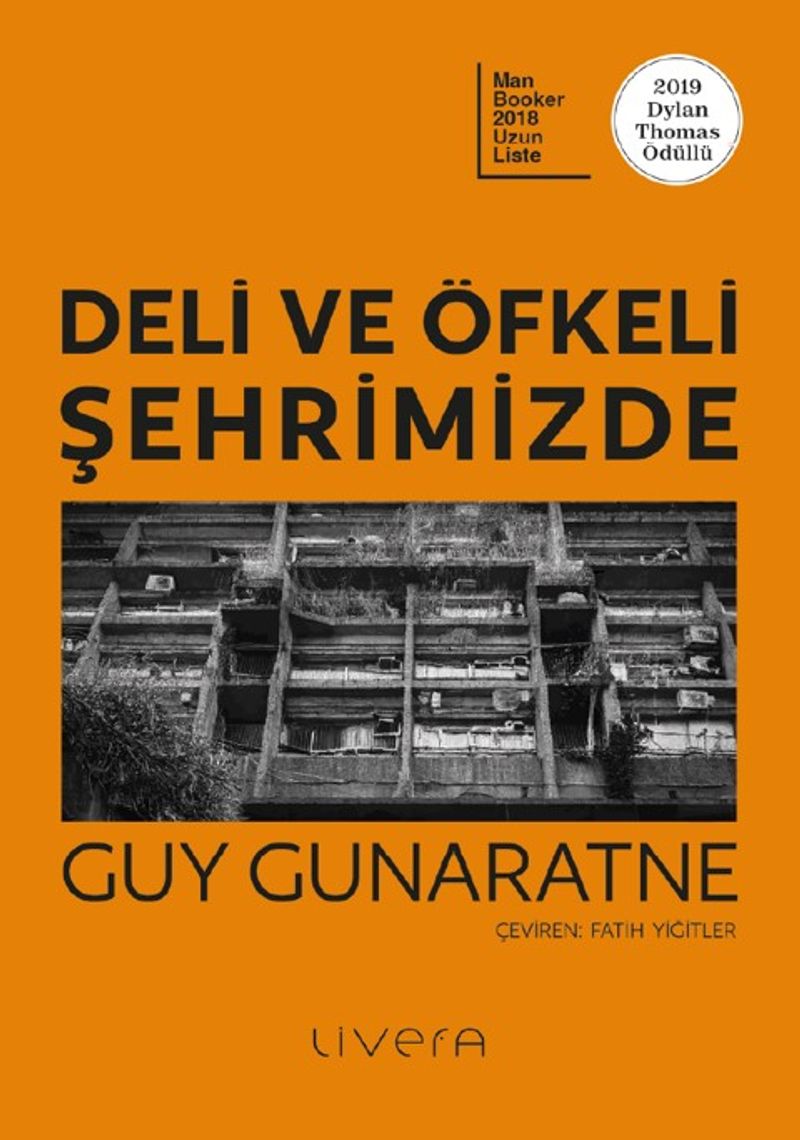 Deli ve Öfkeli Şehrimizde kitap kapağı
