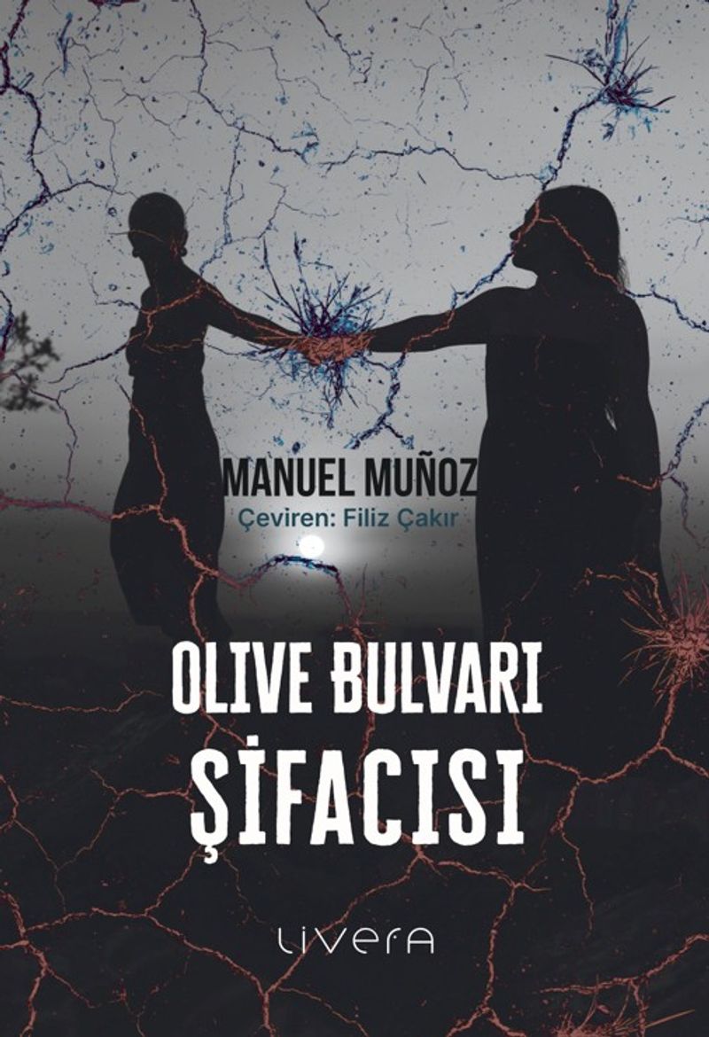 Olive Bulvarı Şifacısı kitap kapağı
