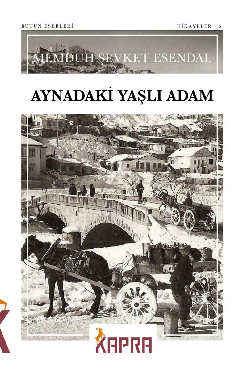 Aynadaki Yaşlı Adam kitap kapağı