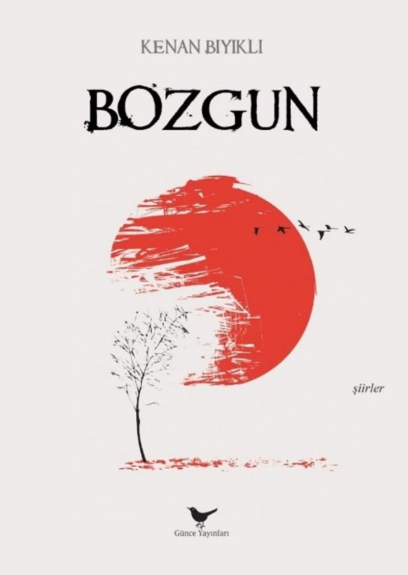 Bozgun kitap kapağı