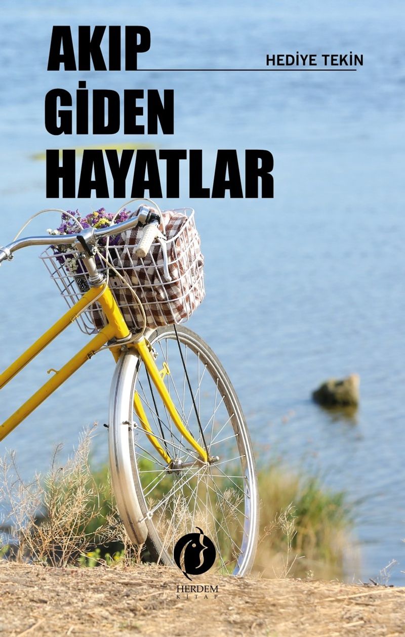 Akıp Giden Hayatlar kitap kapağı