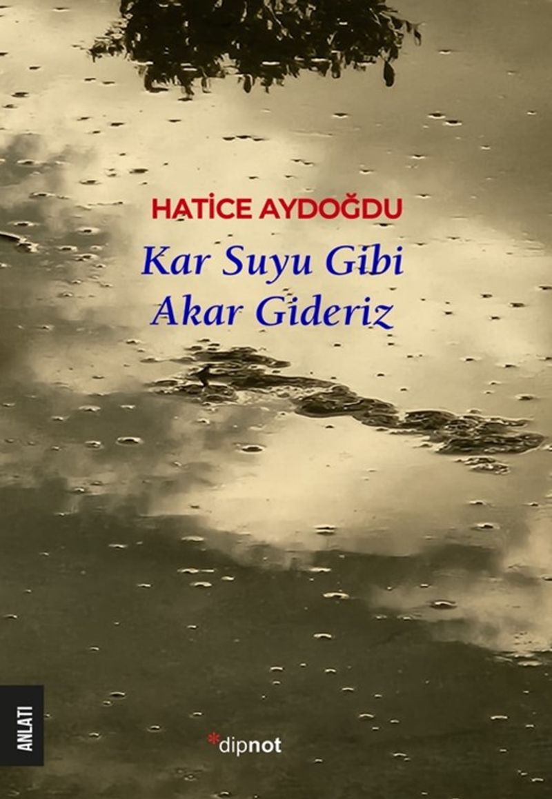 Kar Suyu Gibi Akar Gideriz kitap kapağı