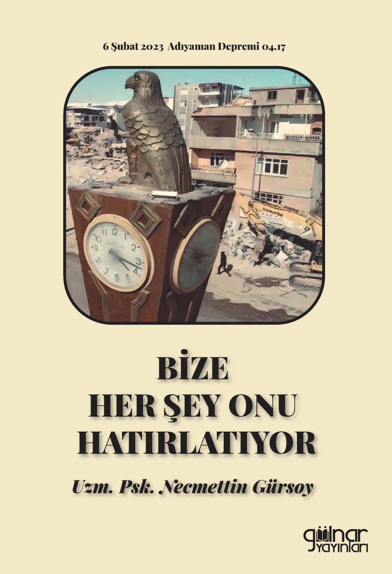 Bize Her Şey Onu Hatırlatıyor kitap kapağı