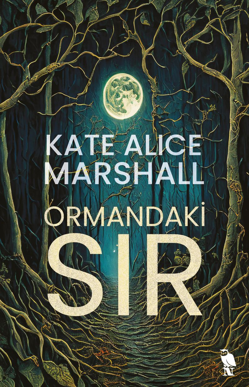 Ormandaki Sır kitap kapağı