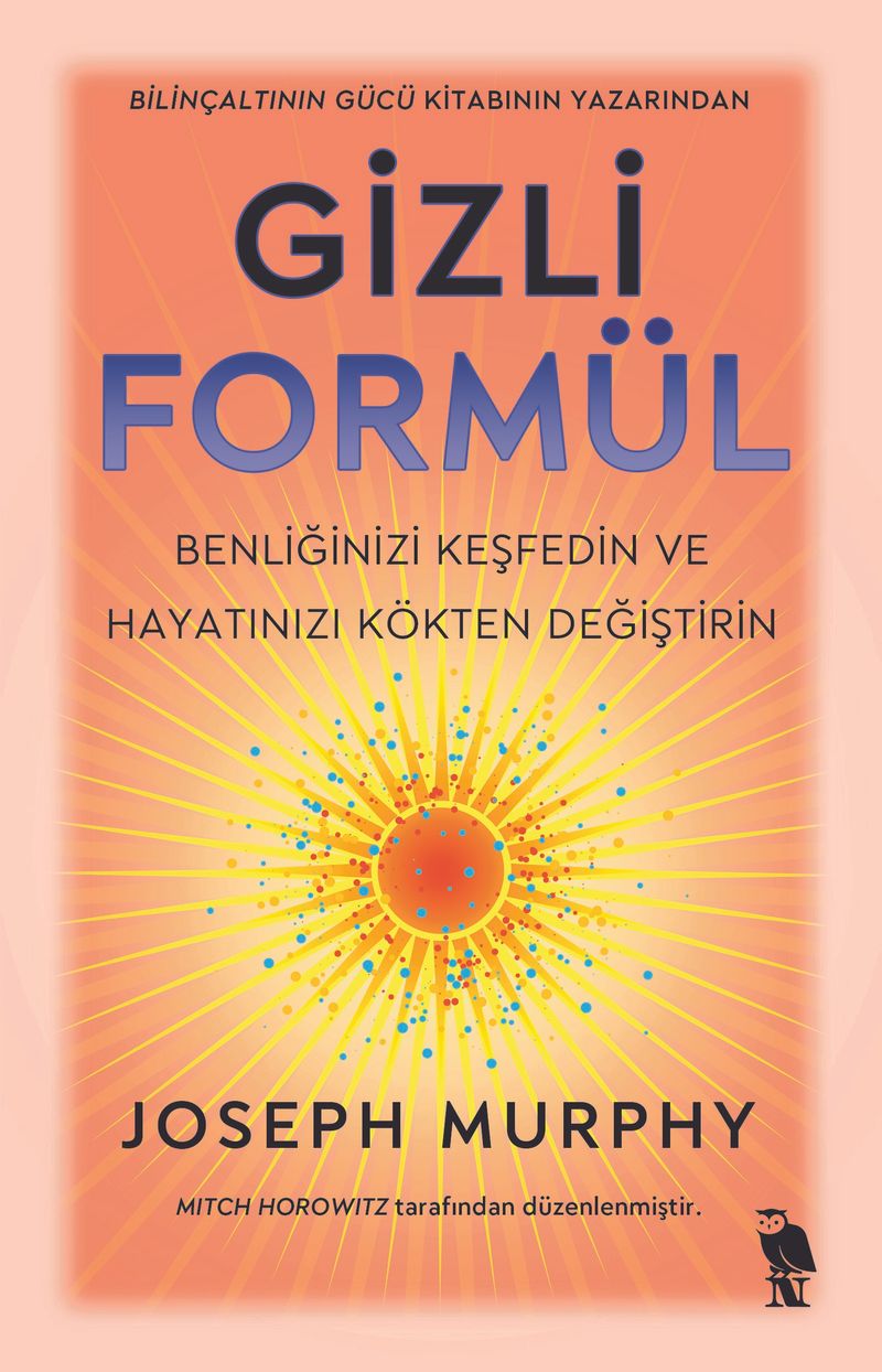 Gizli Formül kitap kapağı