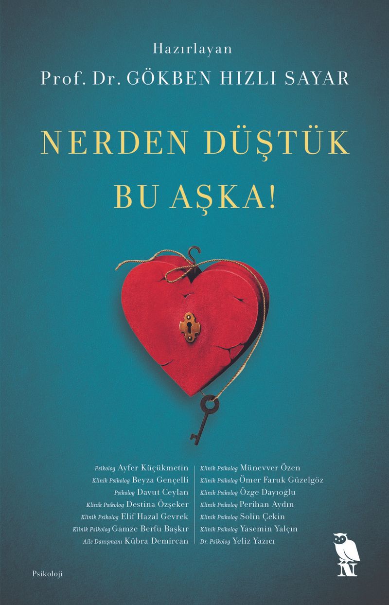 Nerden Düştük Bu Aşka! kitap kapağı