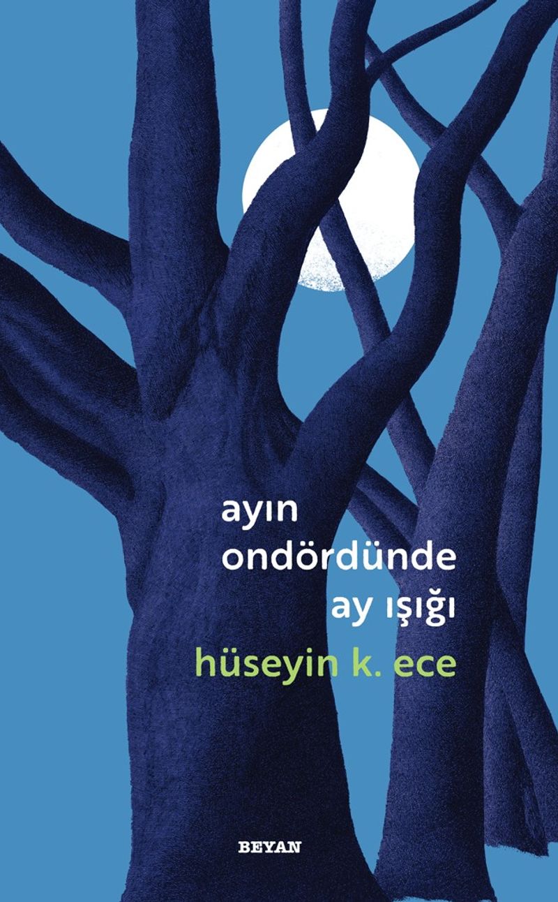 Ayın Ondördünde Ay Işığı kitap kapağı