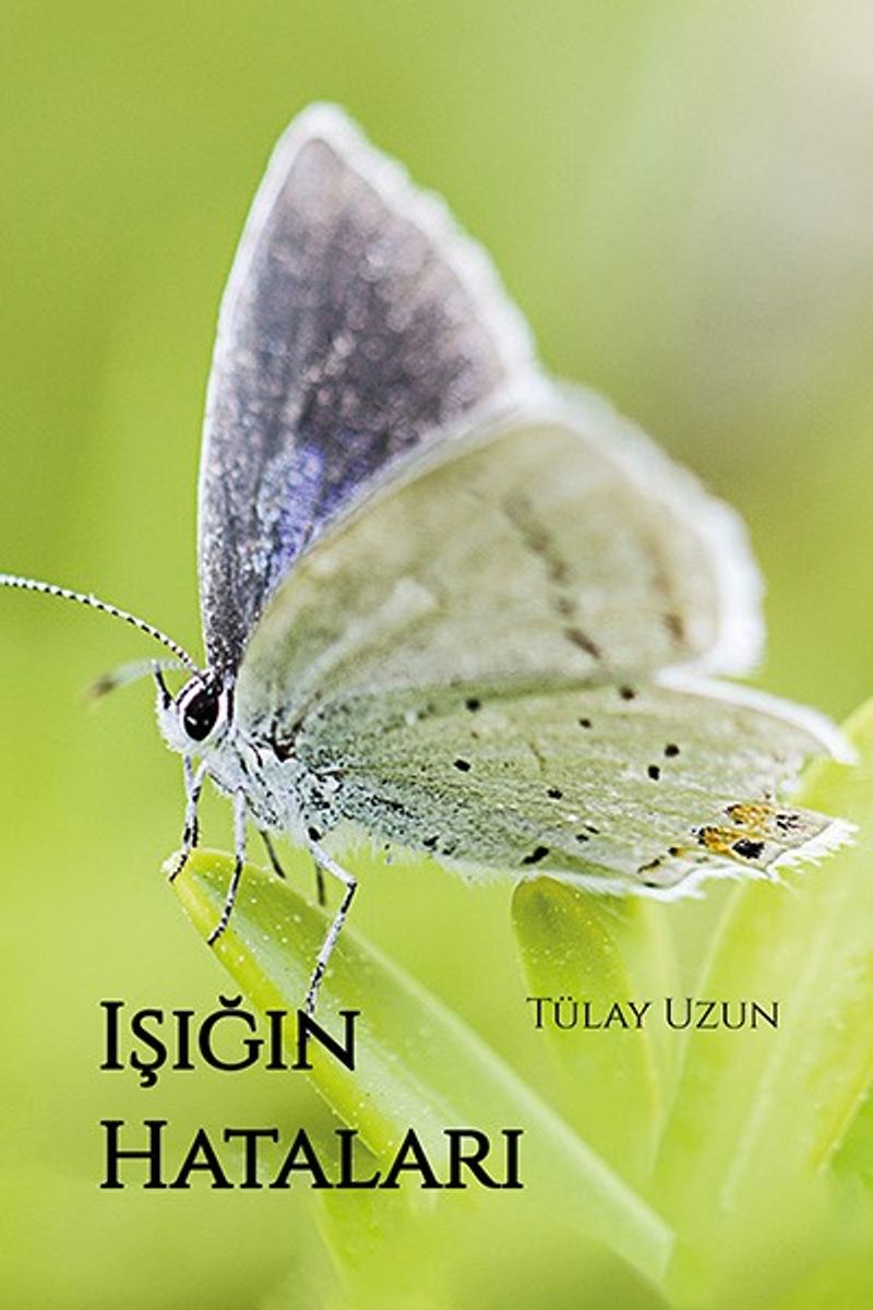 Işığın Hataları kitap kapağı