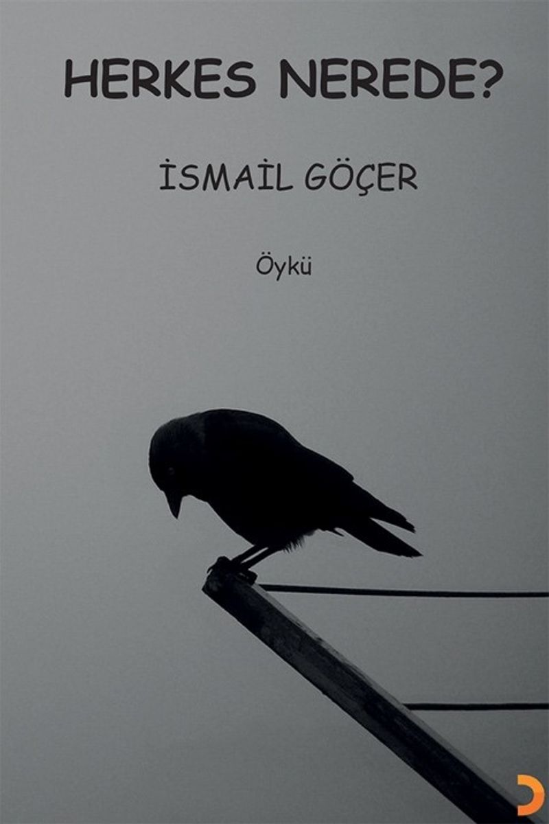 Herkes Nerede? kitap kapağı