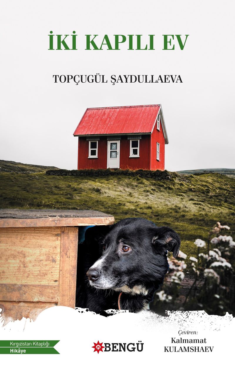 İki Kapılı Ev kitap kapağı