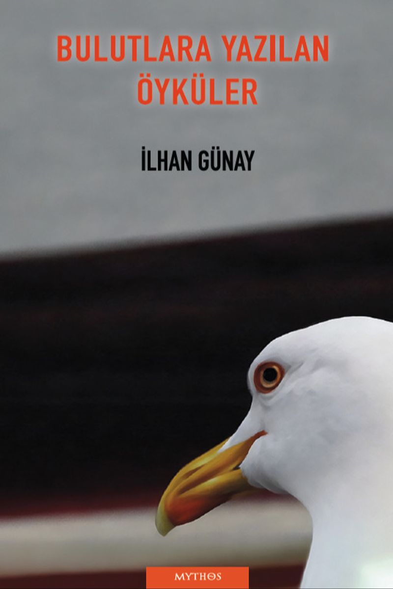 Bulutlara Yazılan Öyküler kitap kapağı