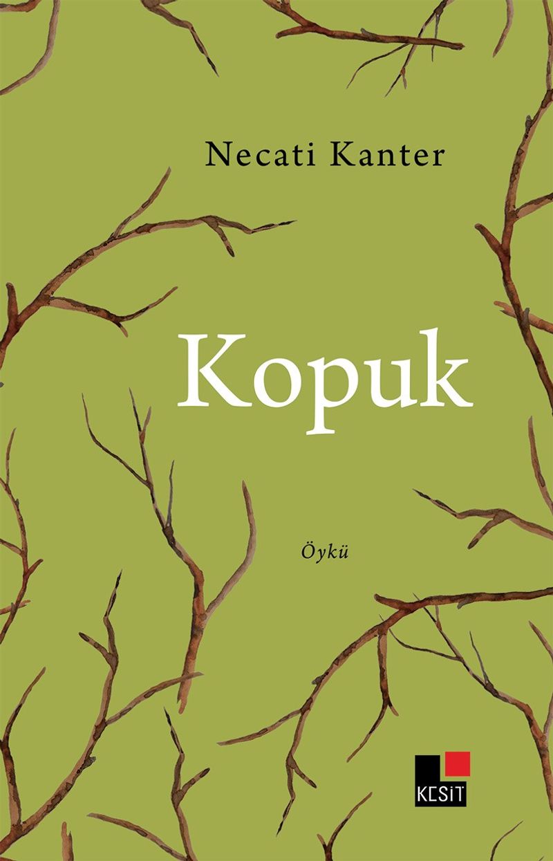 Kopuk kitap kapağı