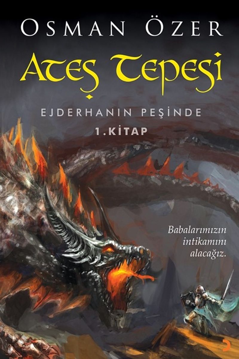 Ateş Tepesi / Ejderhanın Peşinde 1.Kitap kitap kapağı
