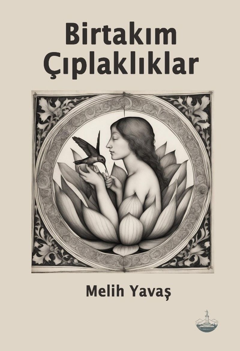 Birtakım Çıplaklıklar kitap kapağı
