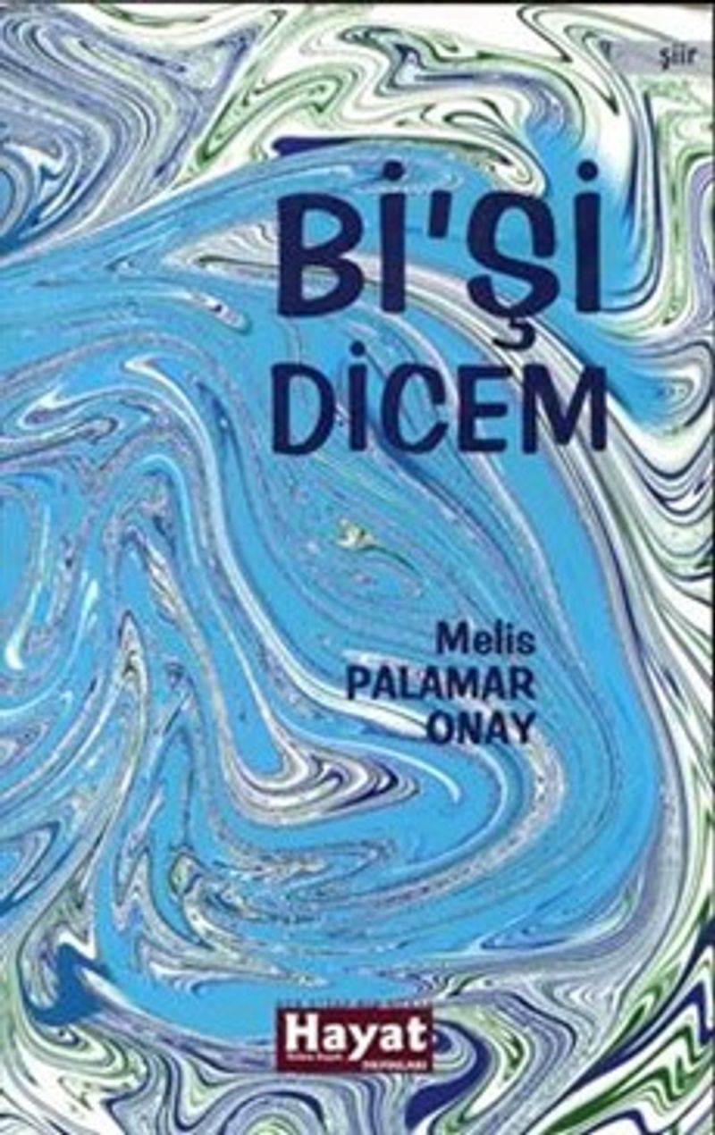 Bi'şi Dicem kitap kapağı