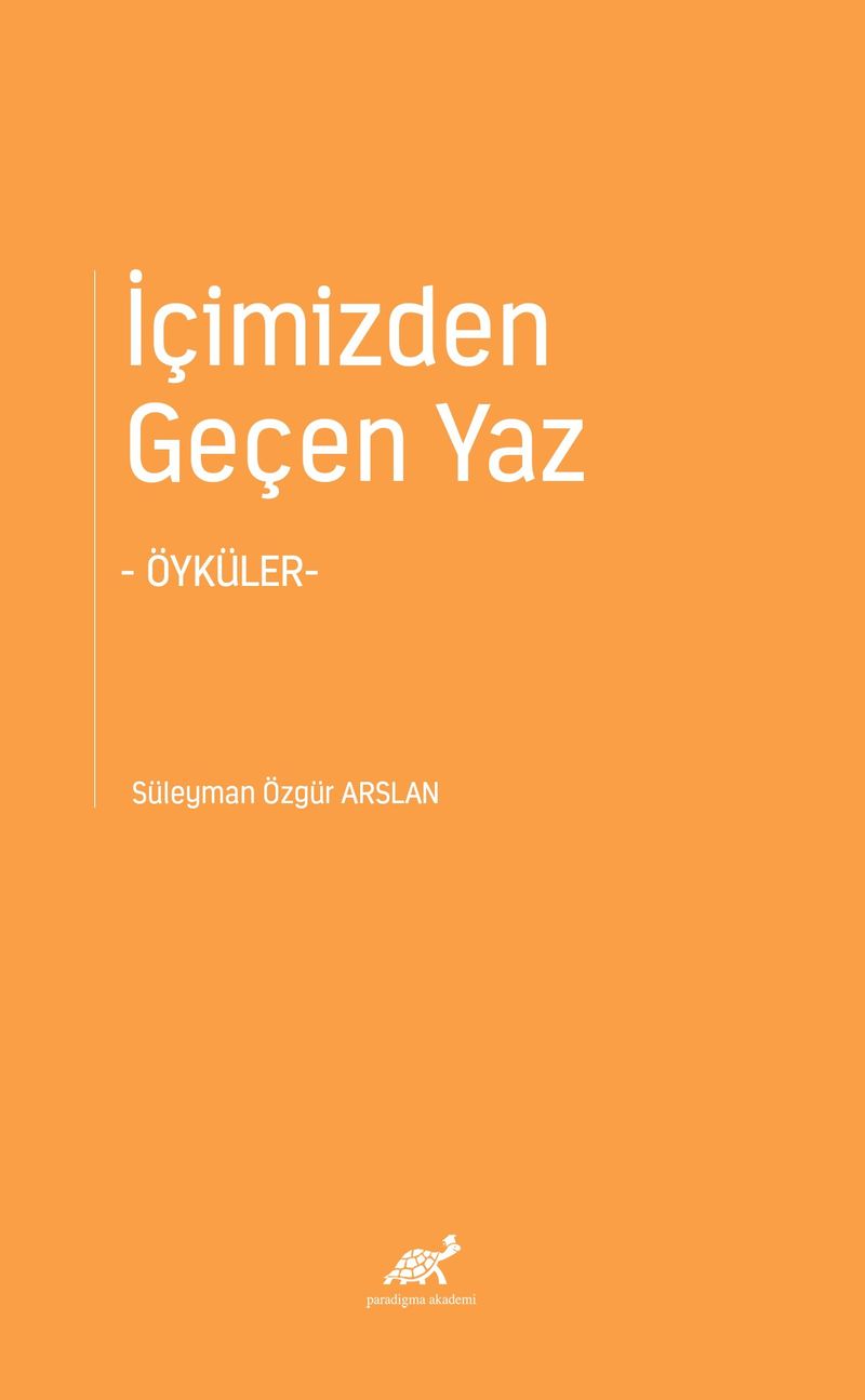 İçimizden Geçen Yaz Öyküler kitap kapağı
