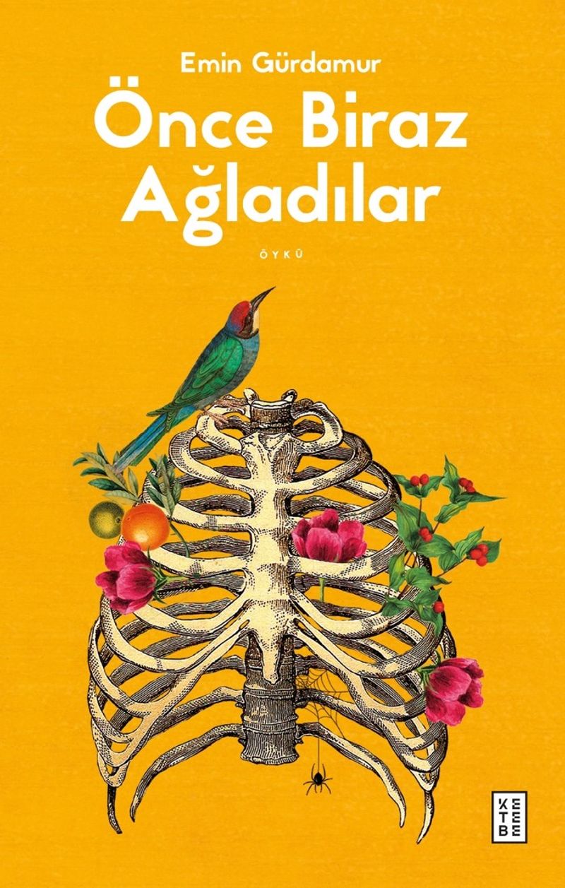 Önce Biraz Ağladılar kitap kapağı