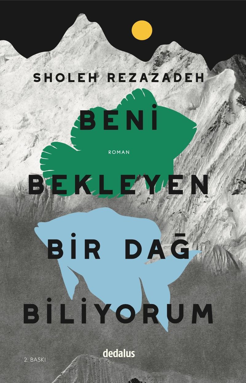 Beni Bekleyen Bir Dağ Biliyorum kitap kapağı