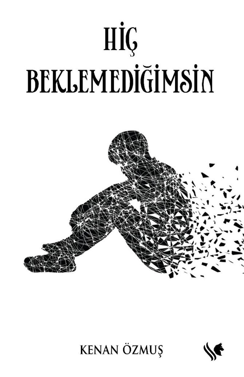 Hiç Beklemediğimsin kitap kapağı